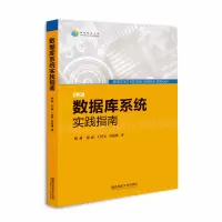 数据库系统实践指南