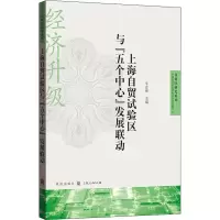 上海自贸试验区与