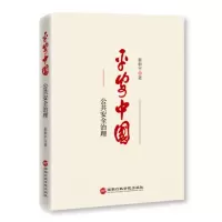 平安中国——公共安全管理