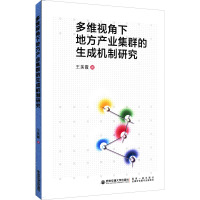 多维视角下地方产业集群的生成机制研究