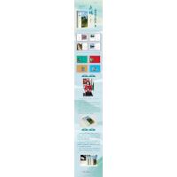 天鹅邀我去散步