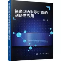 包裹型纳米零价铁的制备与应用
