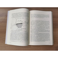 长江与莱茵河Ⅱ:第二届长江与莱茵河历史文化比较研讨会论文集