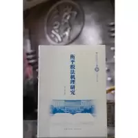 衡平税法机理研究