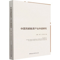 中国西部能源产业升级研究