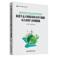 促进生态文明建设的可再生能源综合政策与协调机制