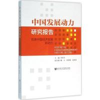 中国发展动力研究报告