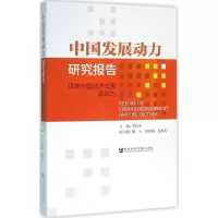 中国发展动力研究报告