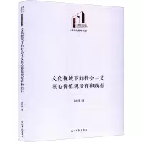 文化视域下的社会主义核心价值观培育和践行