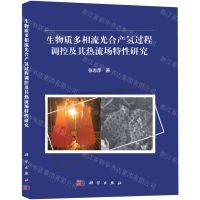 [N]生物质多相流光合产氢过程调控及其热流场特性研究-9787030712110