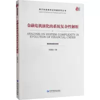 金融危机演化的系统复杂性解析