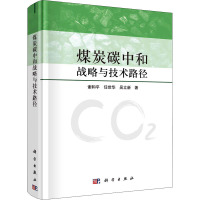 煤炭碳中和战略与技术路径(精)