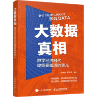 大数据真相(数字经济时代你需要知道的事儿)