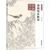 线描写生教学临摹范本/临摹范本系列