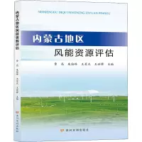内蒙古地区风能资源评估