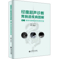 经腹超声诊断胃肠道疾病图解 卷2 胃间叶性肿瘤与原发性胃淋巴瘤