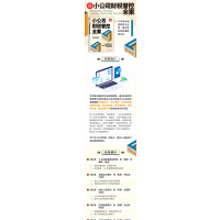 小公司财税管控全案