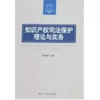 [M]知识产权司法保护理论与实务-9787801987464