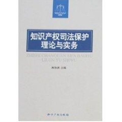 [M]知识产权司法保护理论与实务-9787801987464