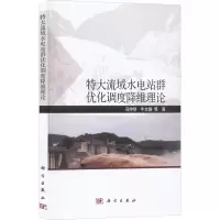 特大流域水电站群优化调度降维理论
