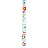 表情/0-2岁宝宝早教撕不烂纸板书