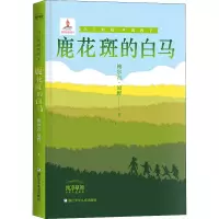 乌兰牧骑的孩子:鹿花斑的白马