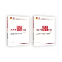 青少年思想政治引领(上情景体验和教学实践)/山西青年智库