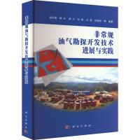 非常规油气勘探开发技术进展与实践(精)