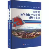 非常规油气勘探开发技术进展与实践(精)