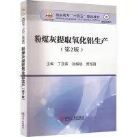 粉煤灰提取氧化铝生产(第2版)