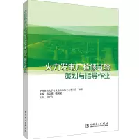 火力发电厂检修试验策划与指导