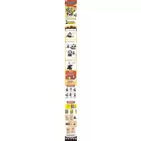 叨叨漫画帝王史.上/叨叨漫画