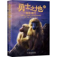 勇士之地系列——暗影潜行