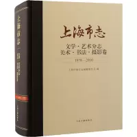 上海市志(文学艺术分志美术书法摄影卷1978-2010)(精)