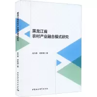 黑龙江省农村产业融合模式研究