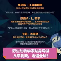 动物的一天:大猫、虫虫和鲨鱼,从早到晚忙什么?