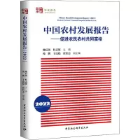 中国农村发展报告——促进农民农村共同富裕 2022