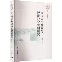 民国云南盐业与经济社会发展研究