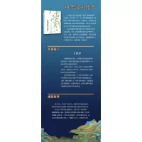 中华汉字传奇