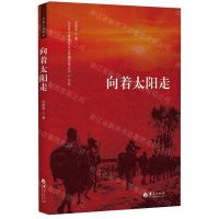 [N]向着太阳走-9787508081694