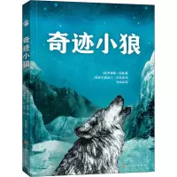 奇迹小狼