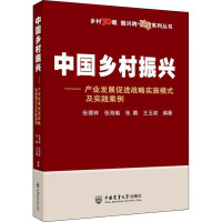 中国乡村振兴——产业发展促进战略实施模式及实践案例