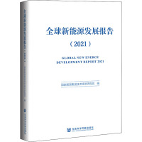 全球新能源发展报告(2021)