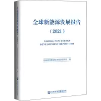 全球新能源发展报告(2021)