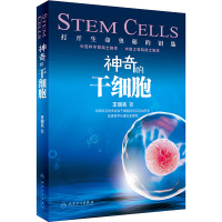 神奇的干细胞