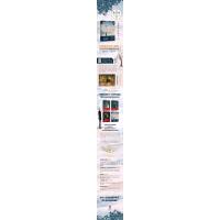 预测死亡的兔子4完结篇