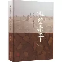 回望桑干(北朝辽金考古研究)