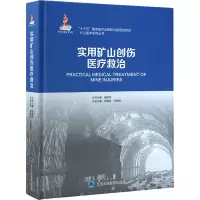 实用矿山创伤医疗救治 国家出版基金项目 急性肺损伤与急性呼吸窘迫综合征 急性肾损伤与挤压综合征 袁聚祥 北京大学医学出版
