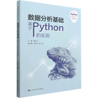 数据分析基础——基于Python的实现(基于Python的数据分析丛书)