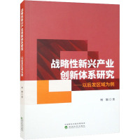 战略性新兴产业创新体系研究——以后发区域为例